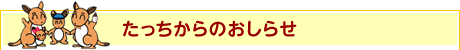 たっちからのおしらせ