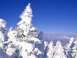 雪景色