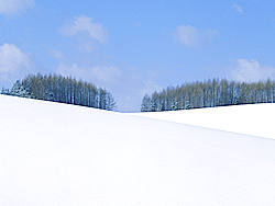 雪景色