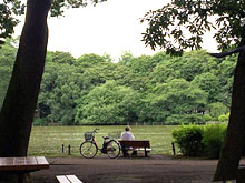 初夏の公園