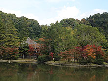 初秋の景色