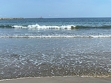 夏の海