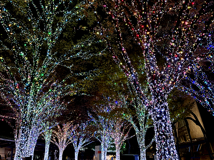 イルミネーション