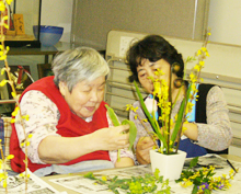 あすなろ写真