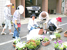花壇植え替え作業をする環境ボランティアの方々