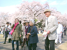 ご利用者とのお花見