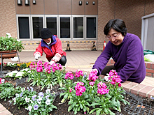 花壇の手入れ