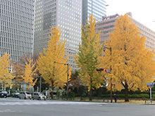 送迎車から見た風景