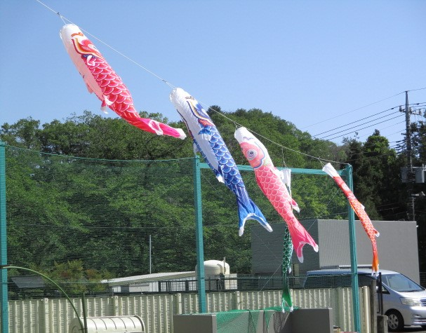 空を泳ぐこいのぼり