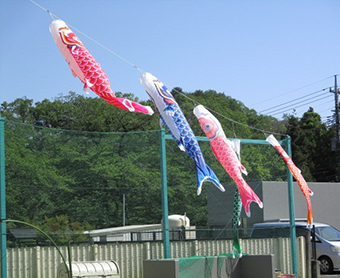 空を泳ぐこいのぼり