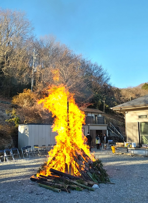 燃えている竹や杉