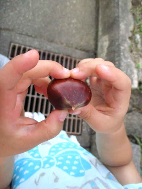 栗を持っている女児