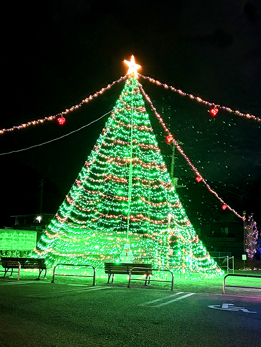 クリスマスツリーのイルミネーション