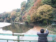 紅葉の風景