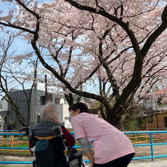 お花見