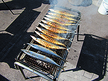 炭火で焼く秋刀魚