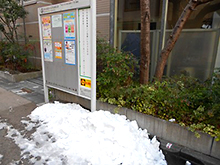 連雀の前に雪が積もっている