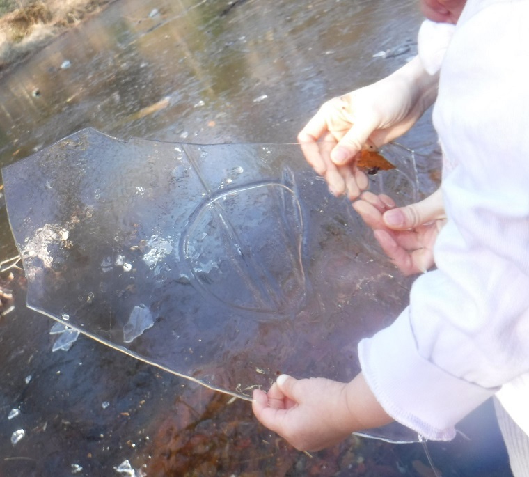 池の氷を持つ子どもの様子