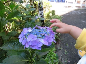 梅雨の季節がやってきました