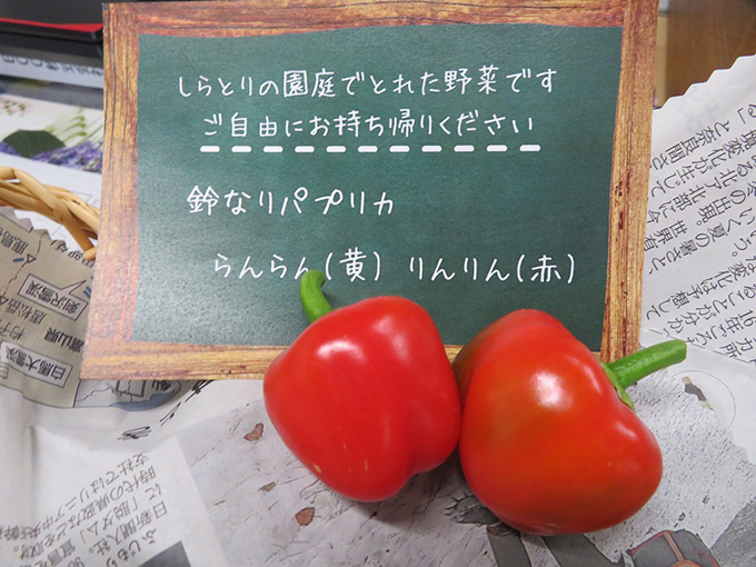 花壇のちいさな収穫物