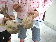 保育園からもらったさつま芋を見せてくれる子どもたち
