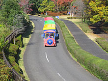 昭和記念公園のパークトレイン（園内バス）