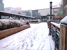 雪化粧の府中駅